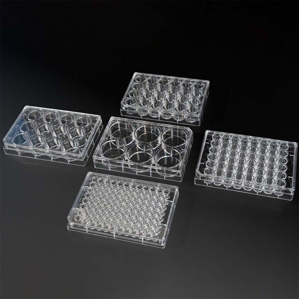24 well Cell Culture Plate (6)