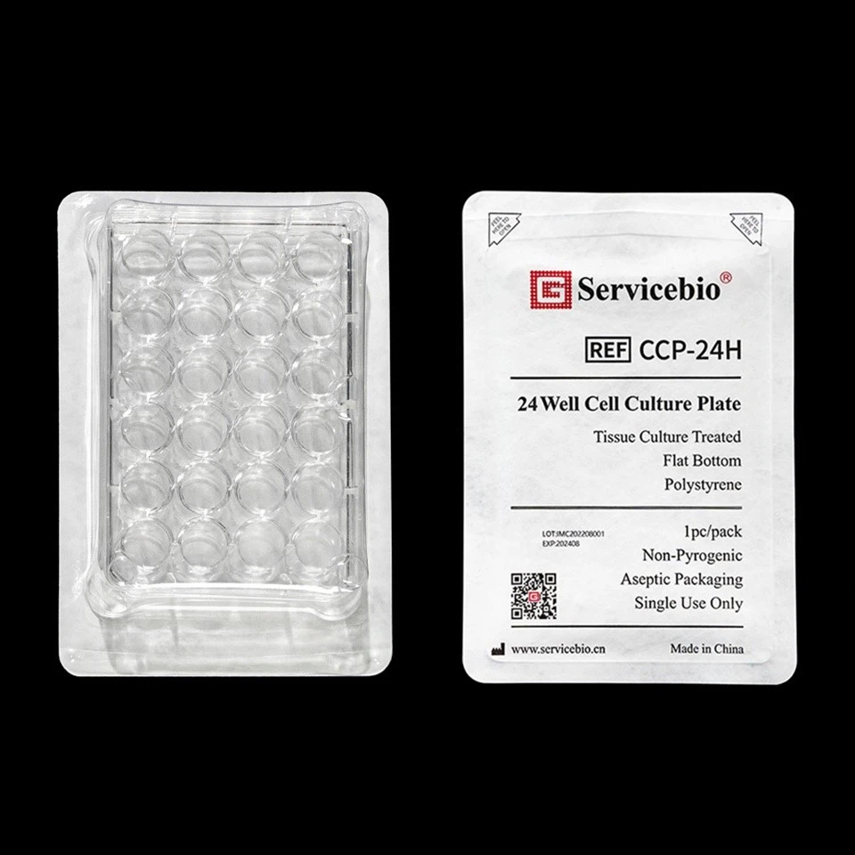 24 well Cell Culture Plate (5)