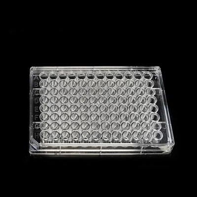 96 quduq hujayra madaniyati plitasi